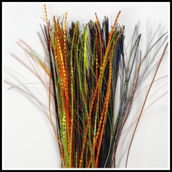 Lac Seul Tiger Fishscale Lac Seul Tiger Fishscale